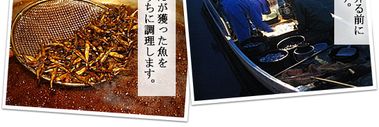 ���t���񂪊l��������V�N�Ȃ����ɒ������܂��B