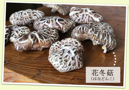 花冬